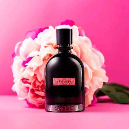 tos-no1a-i-t5fjg24jzw-no/4fcf4432101c4c5d936f58c0064b2fac